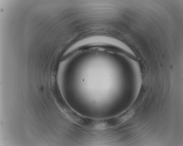 X0000065250456200602242054