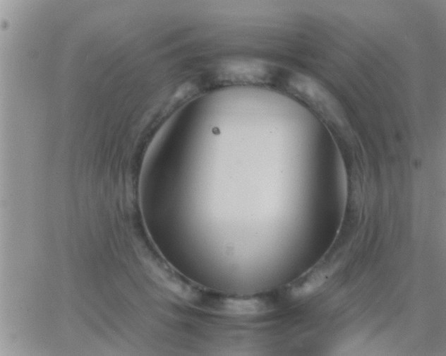 X0000065250457200602242054