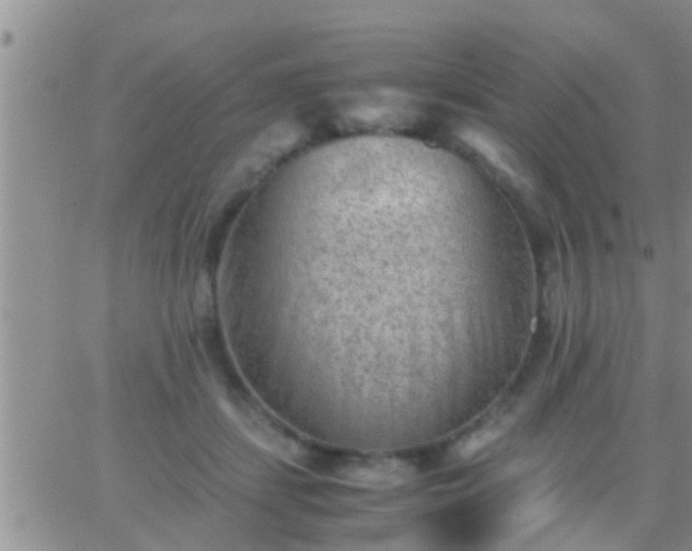 X0000065250459200602242054