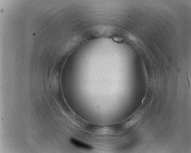 X0000065250460200602242054