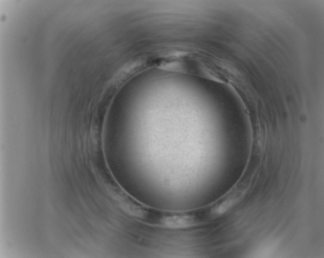 X0000065250461200602242054