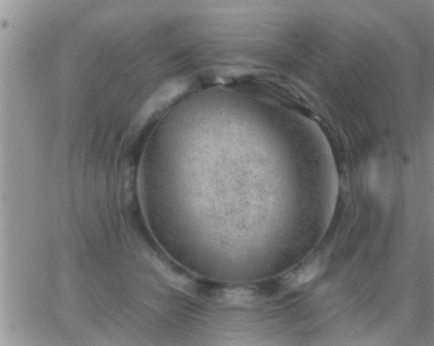 X0000065250462200602242054