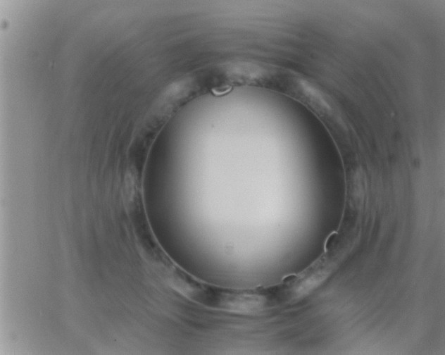 X0000065250463200602242054