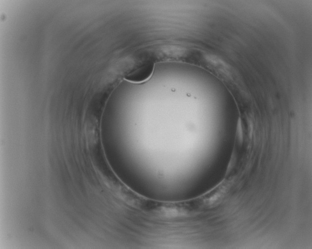 X0000065250464200602242054