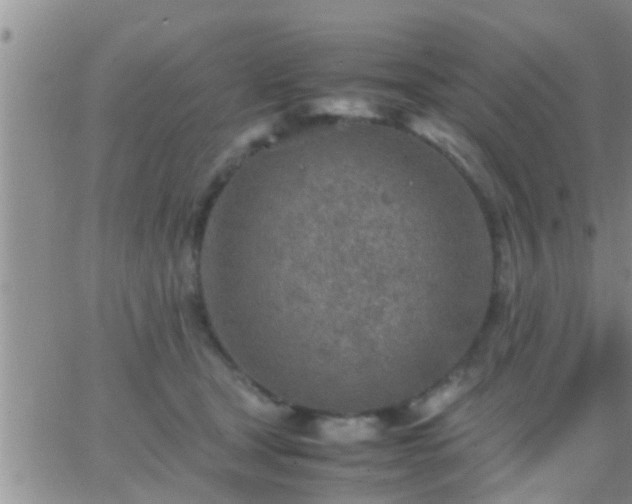 X0000065250465200602242054