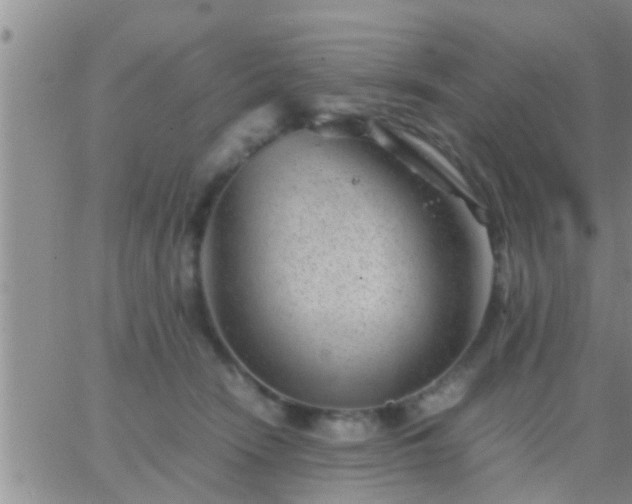 X0000065250466200602242054