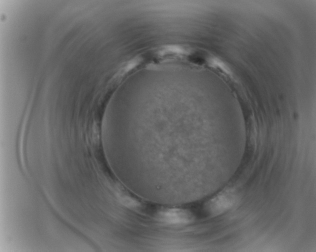 X0000065250467200602242054