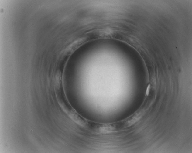 X0000065250468200602242054