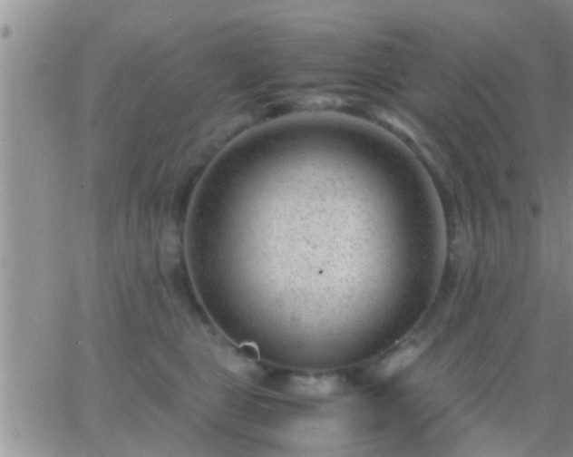 X0000065250469200602242054