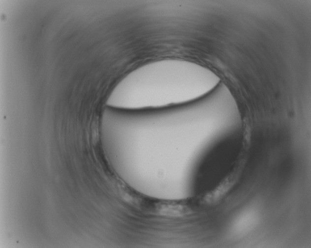 X0000065250471200602242054