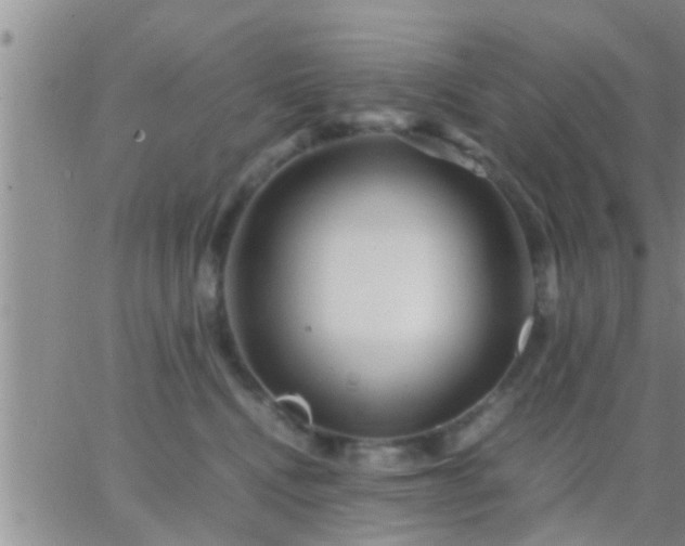 X0000065250472200602242054