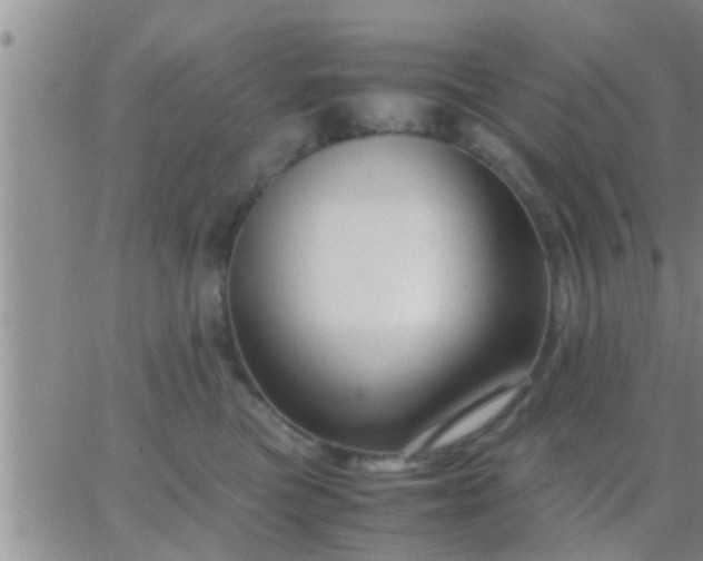 X0000065250473200602242054