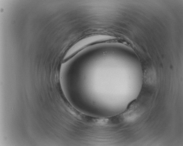 X0000065250474200602242054