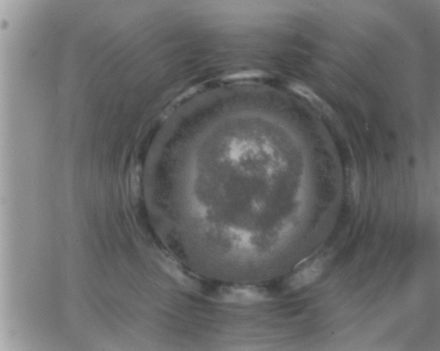 X0000065250475200602242054