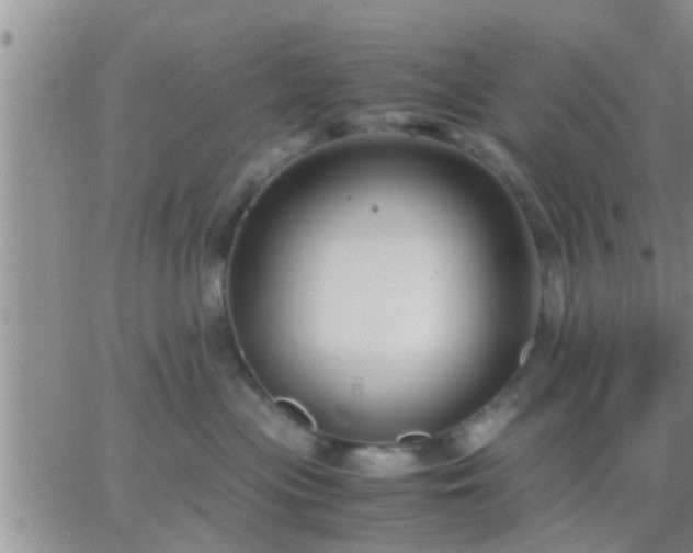 X0000065250477200602242054