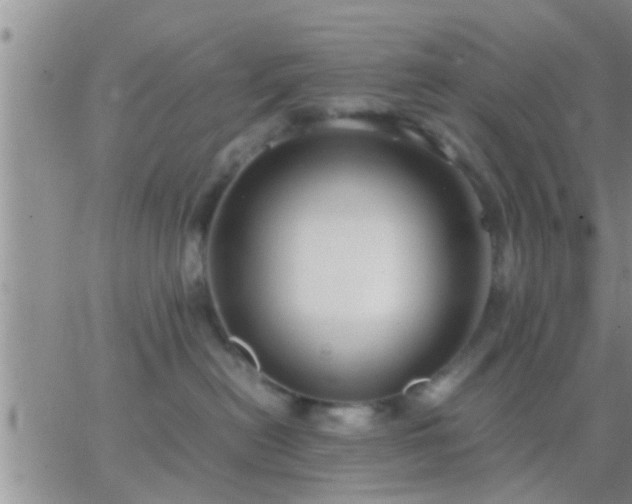 X0000065250478200602242054