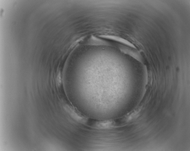 X0000065250479200602242054