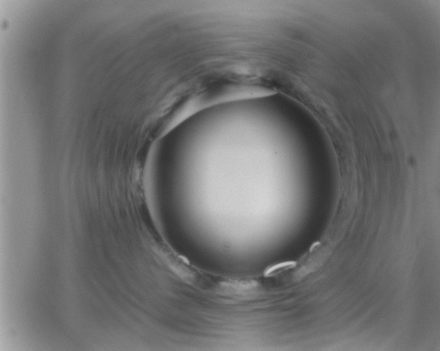 X0000065250480200602242054