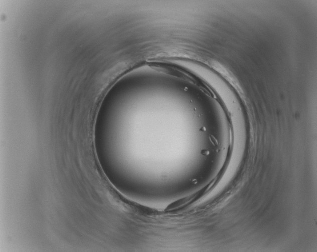 X0000065250481200602242053