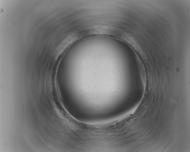 X0000065250482200602242053