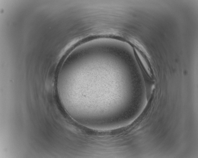 X0000065250483200602242053