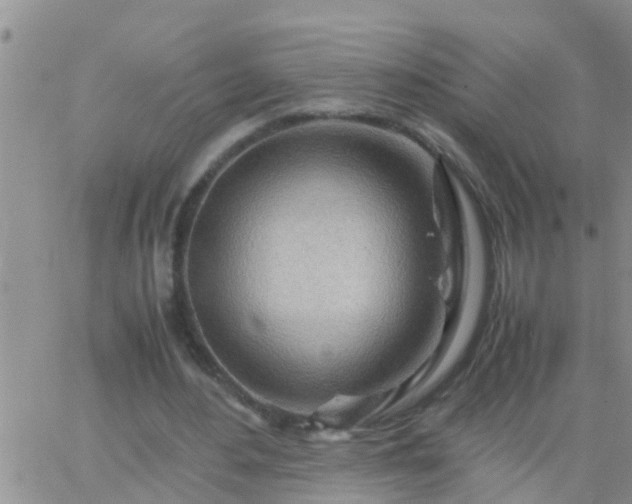 X0000065250484200602242053