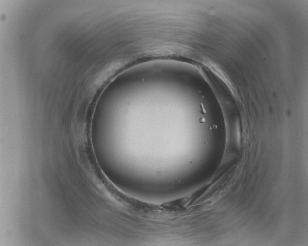 X0000065250485200602242053