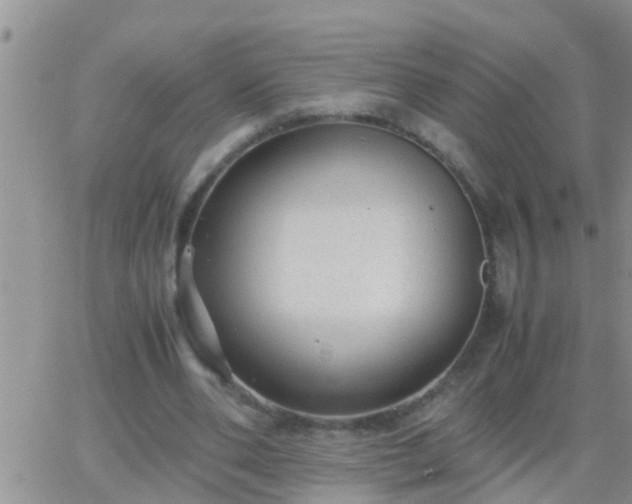 X0000065250486200602242053