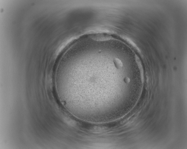 X0000065250487200602242053