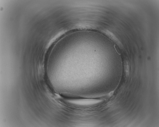 X0000065250488200602242053