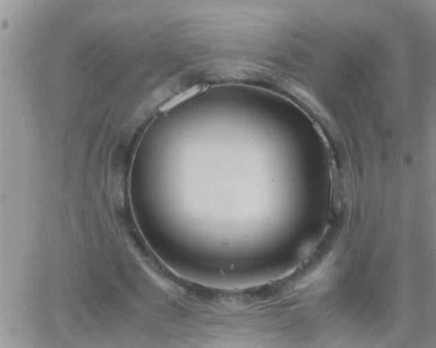 X0000065250489200602242053