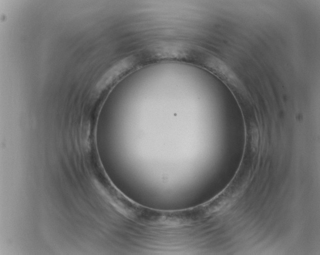 X0000065250490200602242053