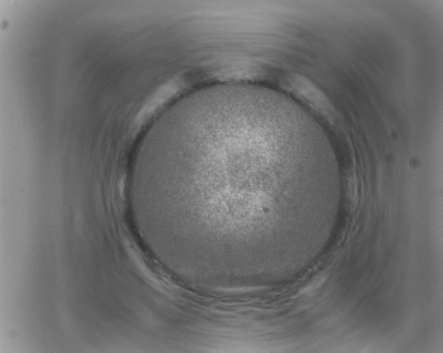 X0000065250491200602242053