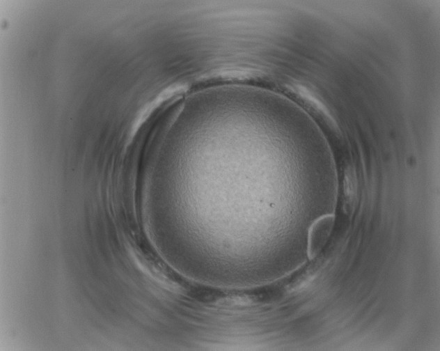 X0000065250492200602242053