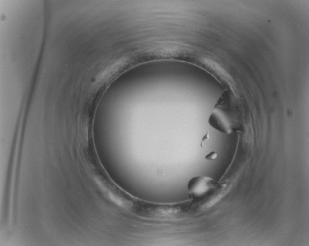 X0000065250493200602242053