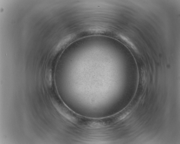 X0000065250494200602242053