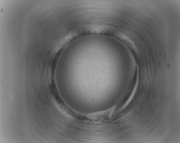 X0000065250496200602242053