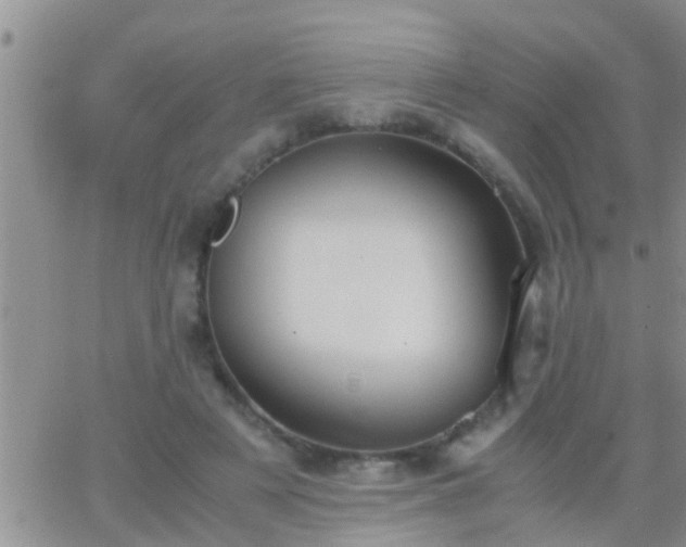 X0000065250497200602242053