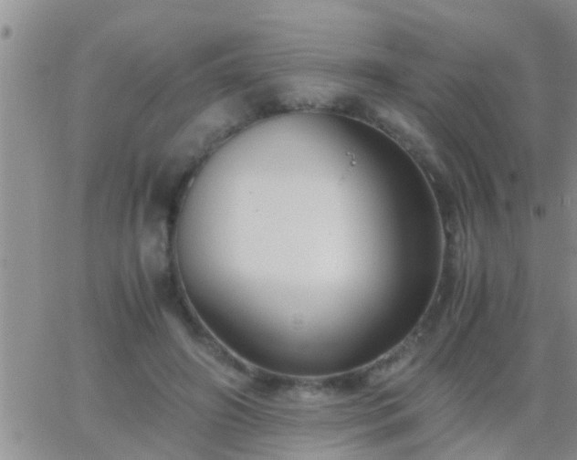 X0000065250498200602242053