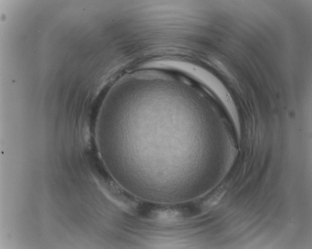 X0000065250500200602242053