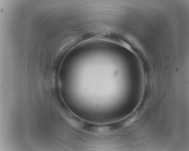 X0000065250501200602242053