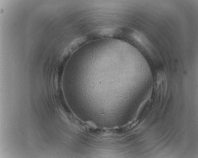 X0000065250504200602242053