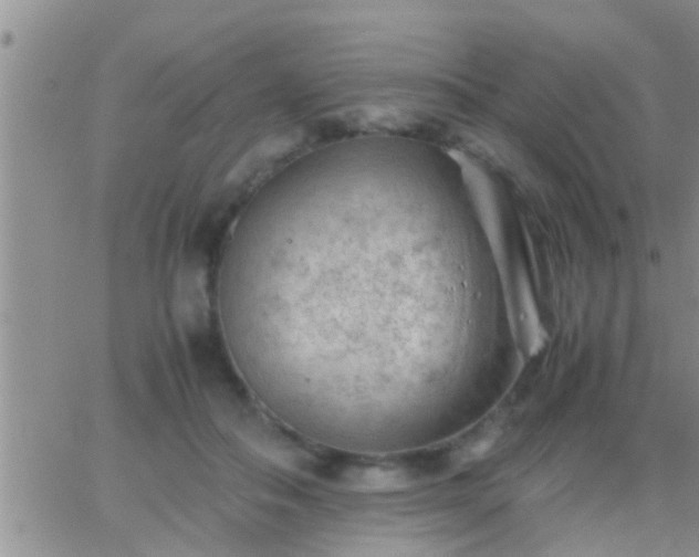 X0000065250506200602242053