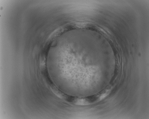 X0000065250507200602242053