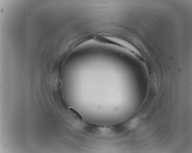 X0000065250509200602242053