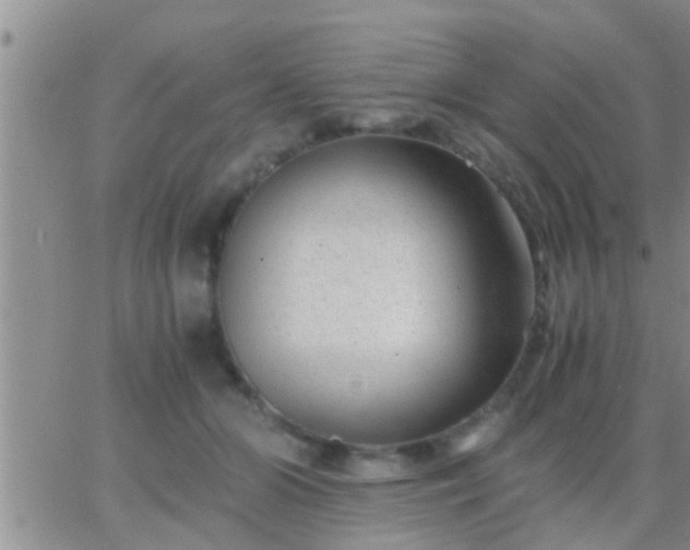 X0000065250510200602242053