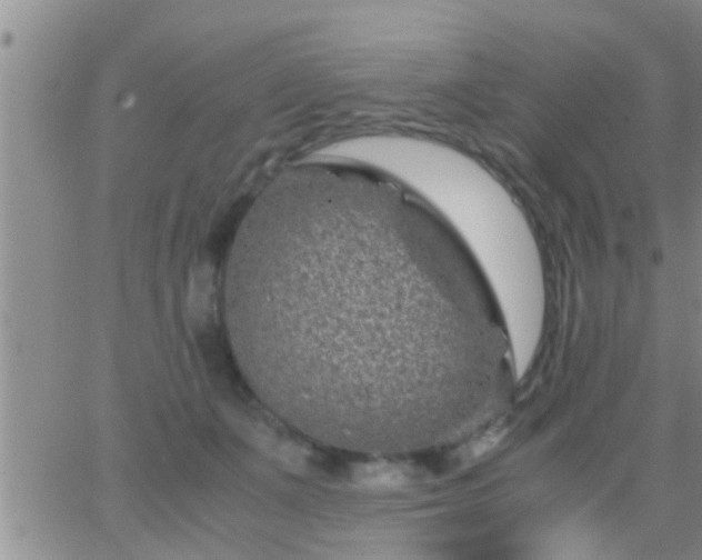 X0000065250511200602242053