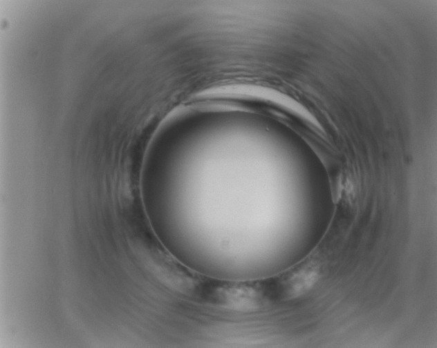 X0000065250512200602242053