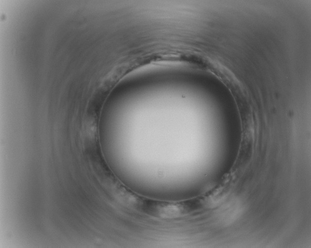 X0000065250513200602242053