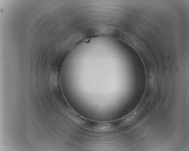 X0000065250514200602242053